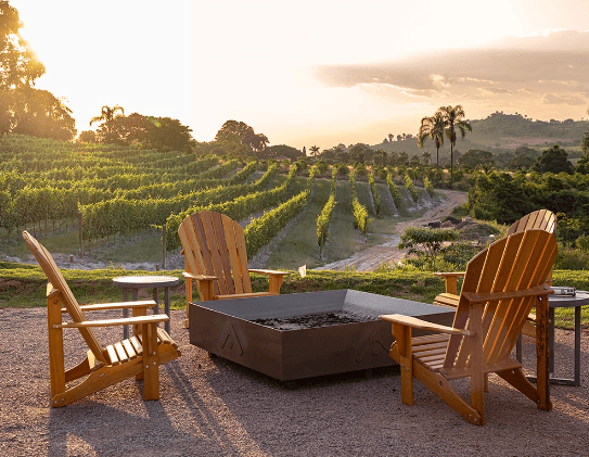 Viva experiências únicas na Vinícola Amana!
Deguste nossos vinhos surpreendentes e conheça cada parte do nosso espaço de tirar o fôlego.
Desfrute da beleza dos vinhedos e aproveite um pôr do sol inesquecível na Serra da Mantiqueira.